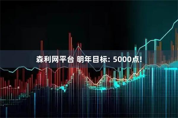 森利网平台 明年目标: 5000点!