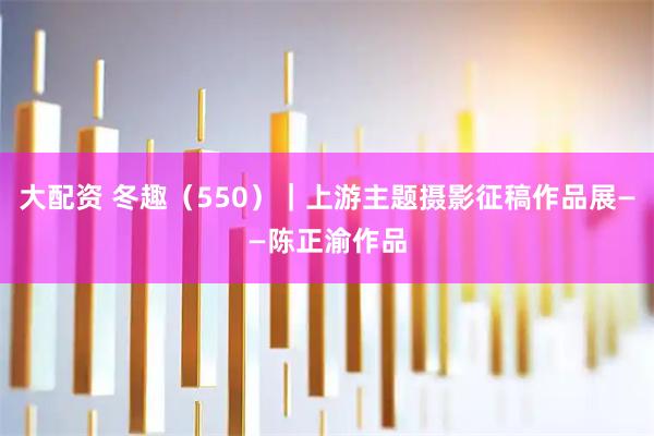 大配资 冬趣（550）｜上游主题摄影征稿作品展——陈正渝作品