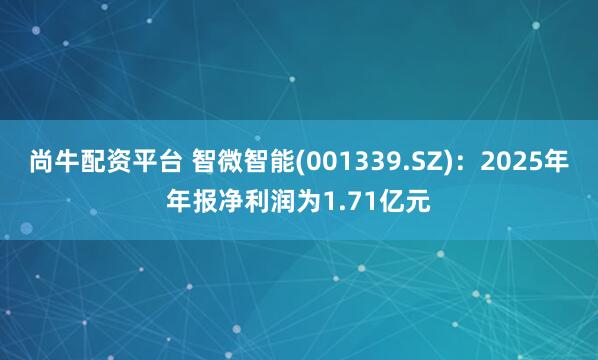 尚牛配资平台 智微智能(001339.SZ)：2025年年报净利润为1.71亿元